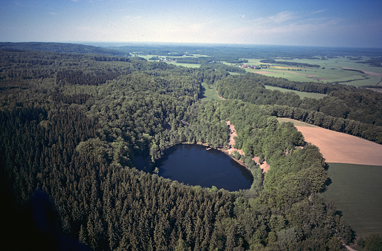 Bild på sjö och skog. Foto.